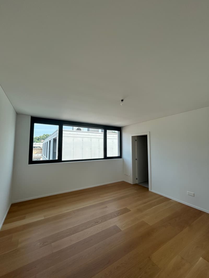 MASSAGNO - bright attic for rent (7)