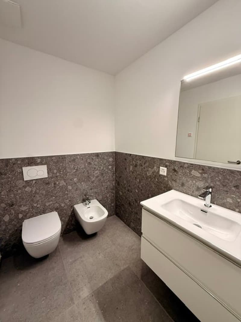 CAMPESTRO - VENDESI DUPLEX 4.5 LOCALI (16)