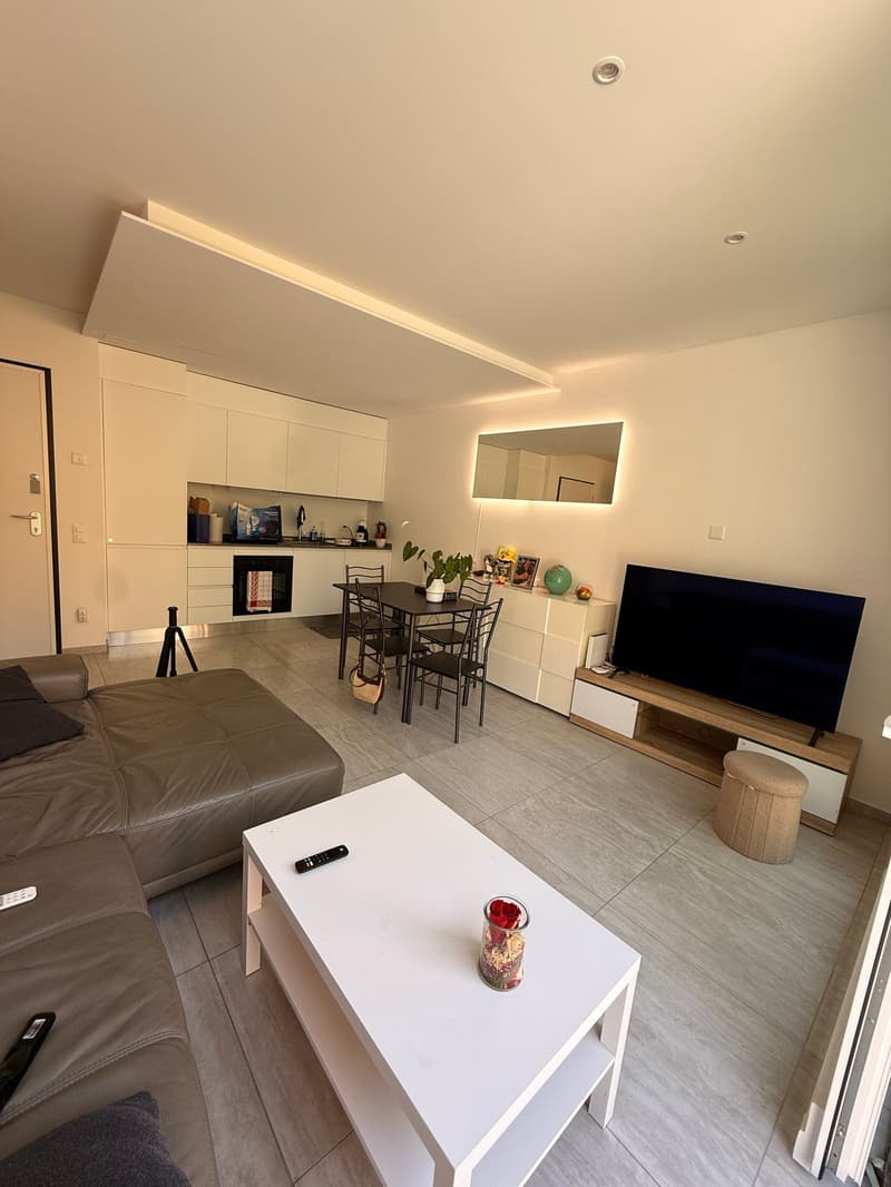 CARABBIA - affittasi appartamento di 2.5 locali con giardino (1)