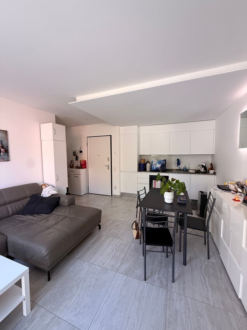 CARABBIA - affittasi appartamento di 2.5 locali con giardino (2)