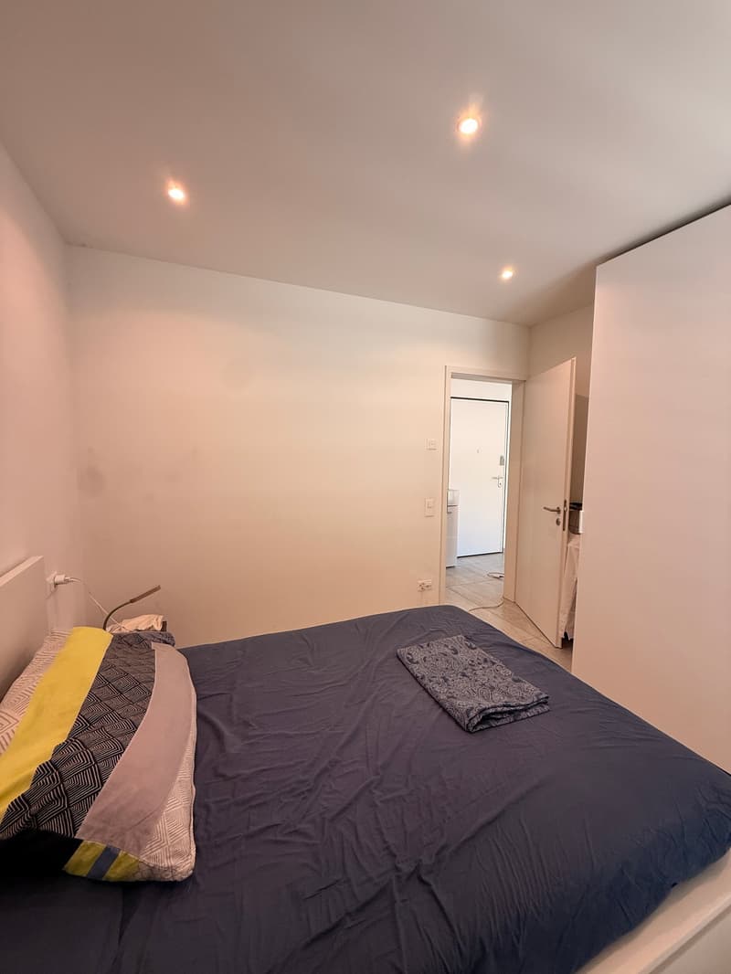 CARABBIA - affittasi appartamento di 2.5 locali con giardino (9)