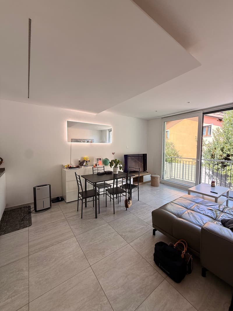 CARABBIA - affittasi appartamento di 2.5 locali con giardino (3)