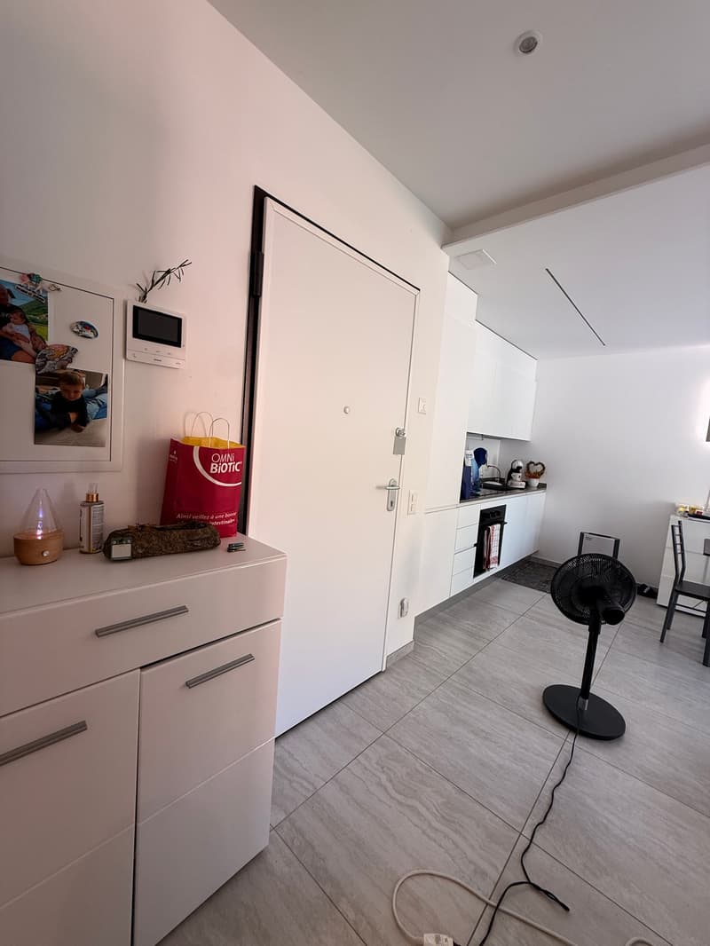 CARABBIA - affittasi appartamento di 2.5 locali con giardino (5)