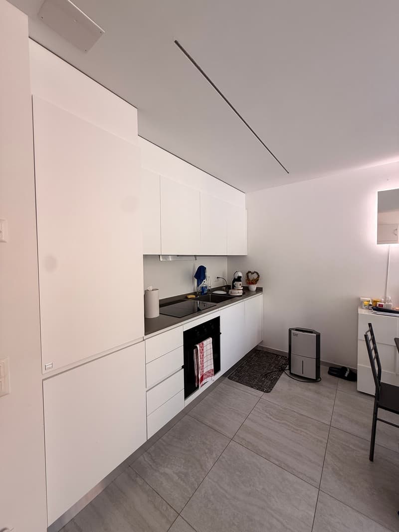 CARABBIA - affittasi appartamento di 2.5 locali con giardino (4)