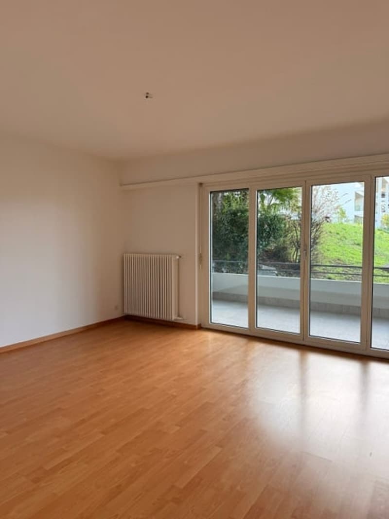 VEZIA - affittasi appartamento 3.5 locali con balcone (2)