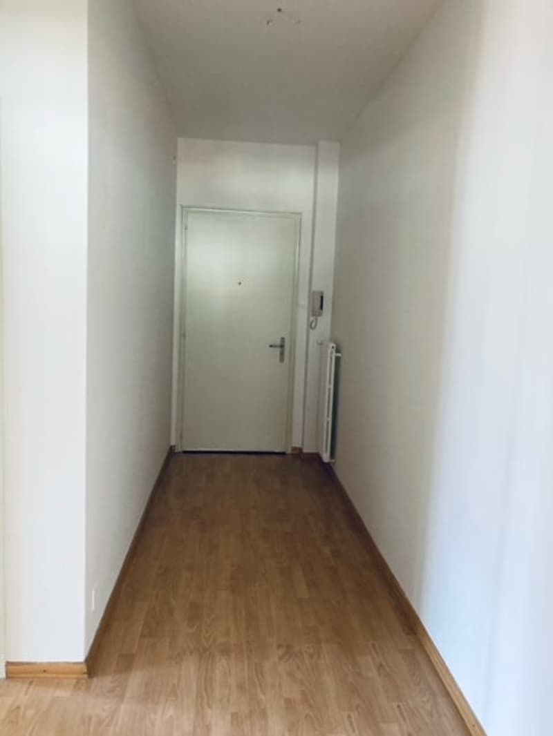 BELLINZONA - vendesi apartamento di 3.5 locali (7)