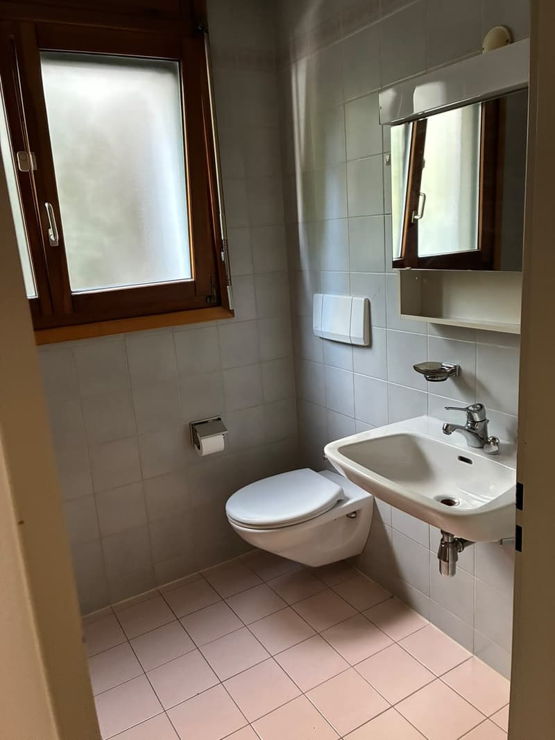 PONTE CAPRIASCA - AFFITTASI APPARTAMENTO DI 2.5 LOCALI (6)