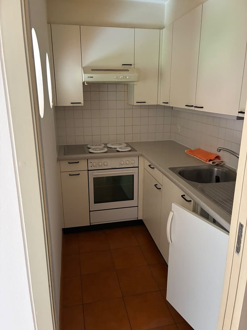 PONTE CAPRIASCA - AFFITTASI APPARTAMENTO DI 2.5 LOCALI (4)