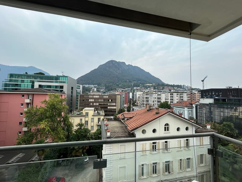 LUGANO - VENDESI APPARTAMENTO DI 3.5 LOCALI (3)