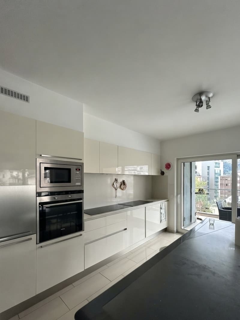 LUGANO - VENDESI APPARTAMENTO DI 3.5 LOCALI (2)