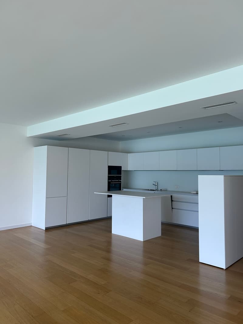 LUGANO - LUMINOSO APPARTAMENTO DI 4.5 LOCALI VISTA LAGO (3)