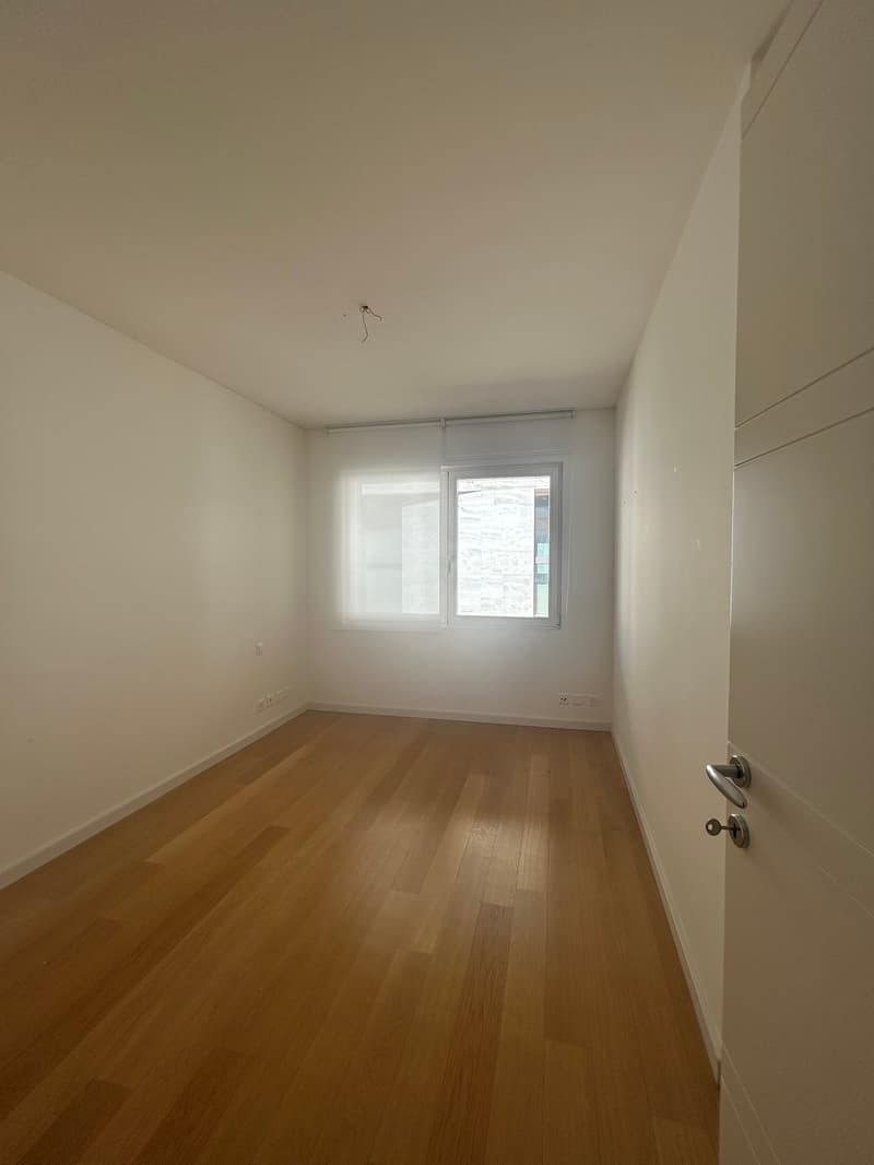 LUGANO - LUMINOSO APPARTAMENTO DI 4.5 LOCALI VISTA LAGO (12)