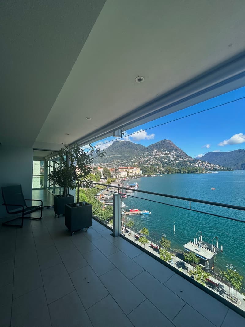 LUGANO - LUMINOSO APPARTAMENTO DI 4.5 LOCALI VISTA LAGO (6)