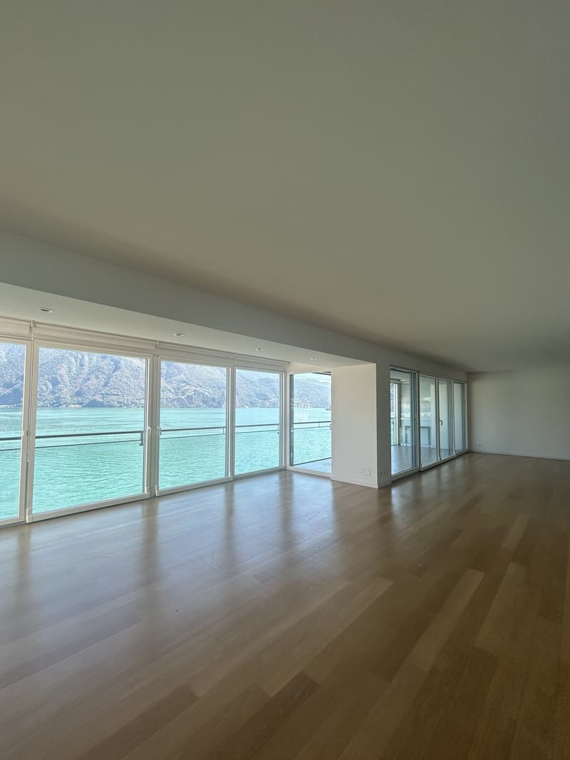 LUGANO - LUMINOSO APPARTAMENTO DI 4.5 LOCALI VISTA LAGO (4)