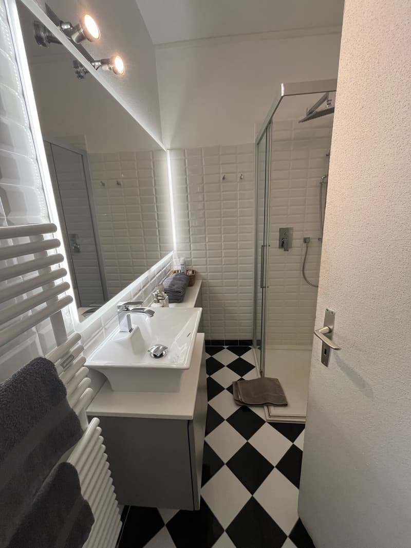 LUGANO - AFFITTASI MONOLOCALE ARREDATO (7)