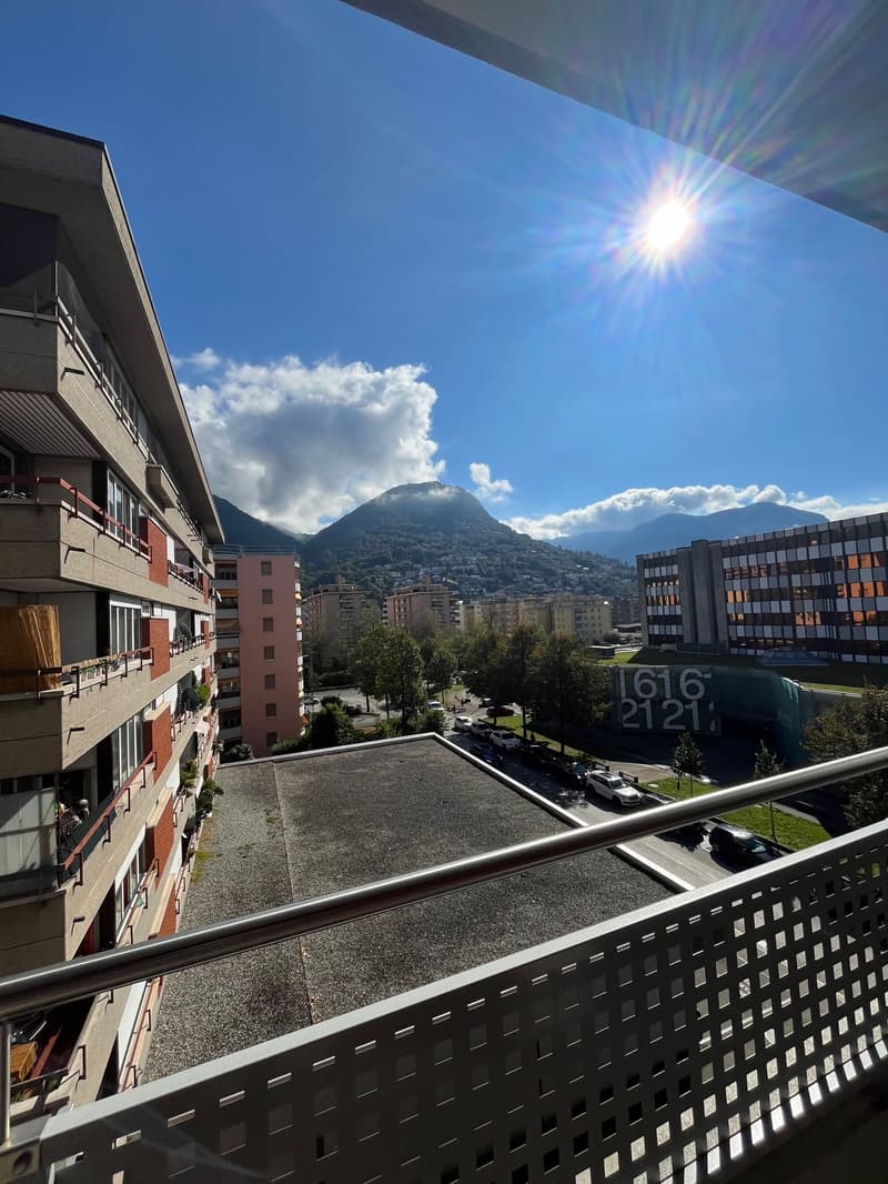 LUGANO - AFFITTASI MONOLOCALE ARREDATO (4)
