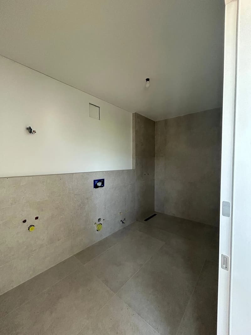 MASSAGNO - affittasi luminoso attico (8)