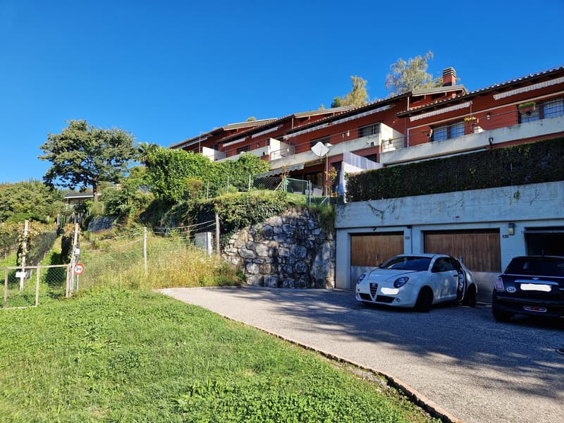 Haus mit einer Familie in Salorino zu verkaufen (1)