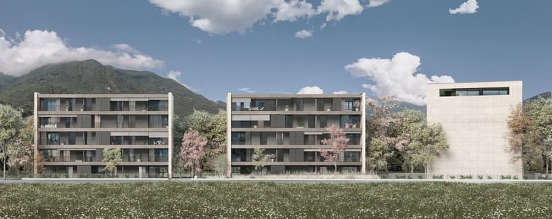 Appartamento arredato di 2.5 locali in nuova costruzione a Bellinzona (11)
