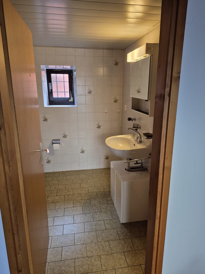 AFFITTO Abitazione Monofamiliare a Gordola, 2'100.- chf/mese trattabili (14)