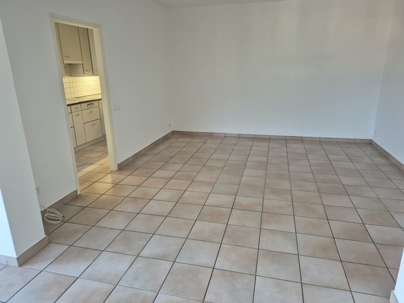 AFFITTO Abitazione Monofamiliare a Gordola, 2'100.- chf/mese trattabili (8)