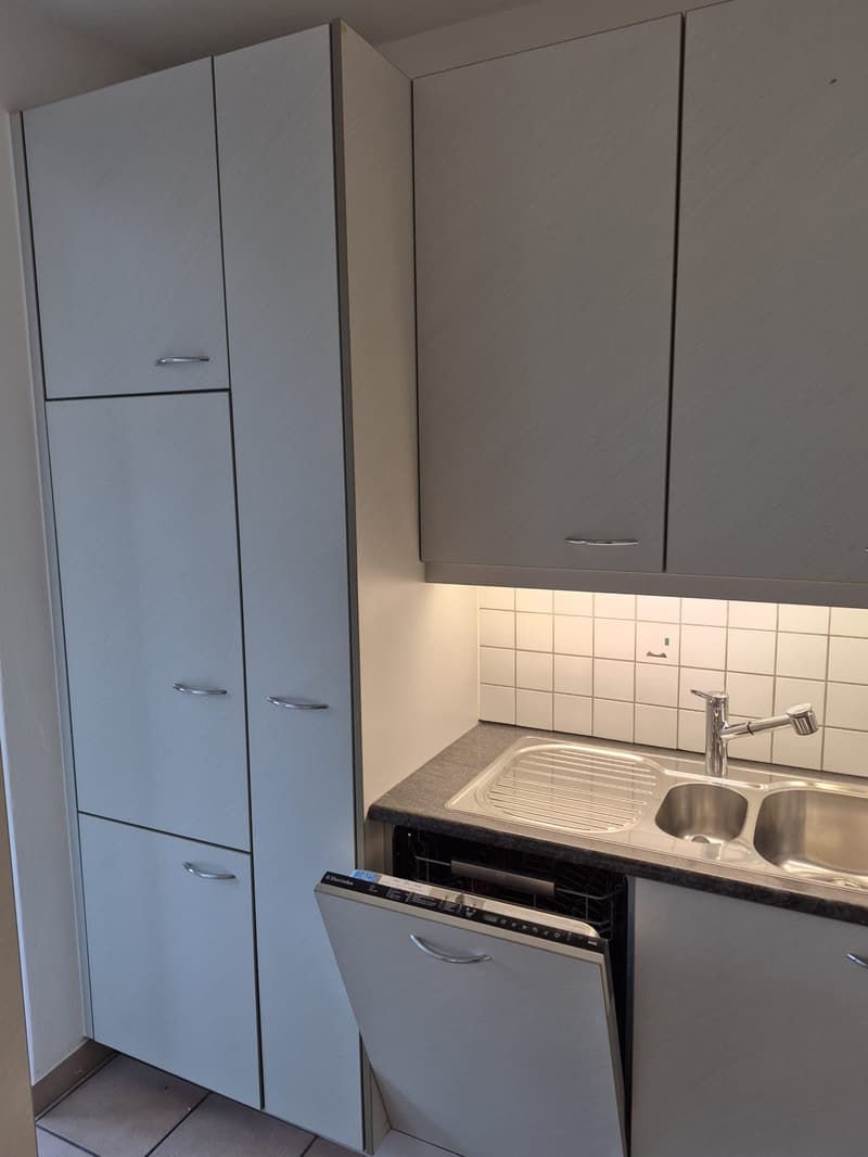 AFFITTO Abitazione Monofamiliare a Gordola, 2'100.- chf/mese trattabili (12)