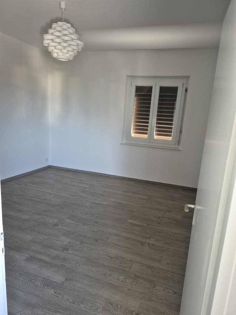 AFFITTO Abitazione Monofamiliare a Gordola, 2'100.- chf/mese trattabili (9)