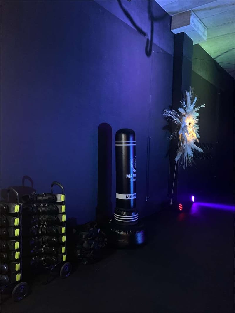 Location à l'heure Salle de Fitness (4)