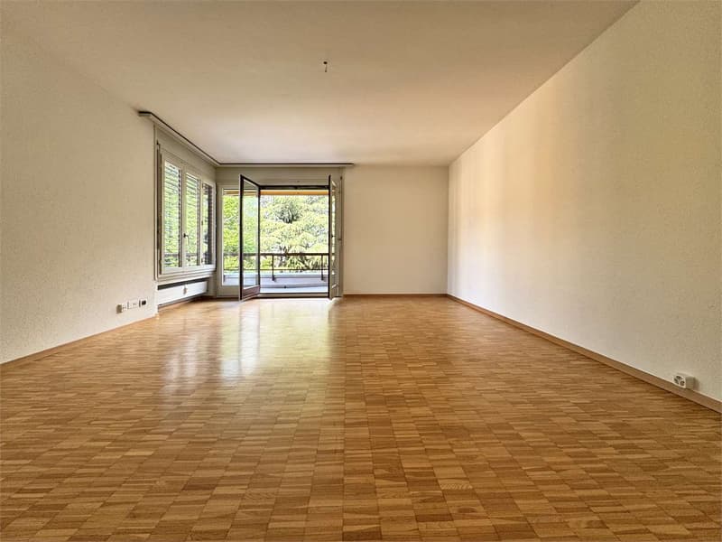 Giubiasco - Splendid 4.5 rooms of various sizes (4)