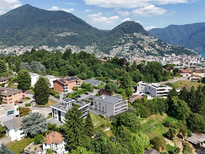 Penthouse exclusif 4,5 pièces avec toit-terrasse et confidentialité maximale à Savosa (7)