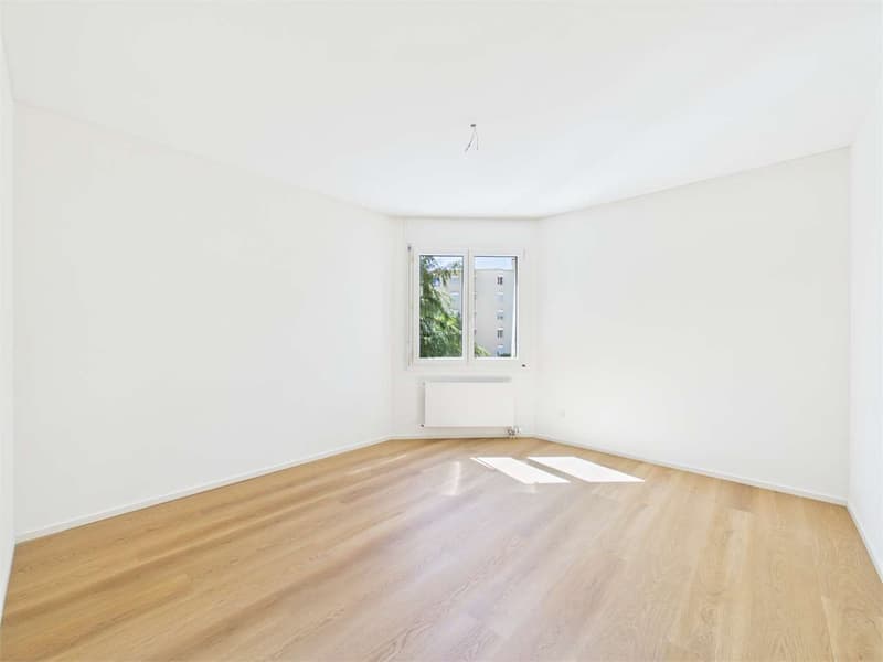 Rent 4.5 rooms completely renovated on the 4th floor (6)