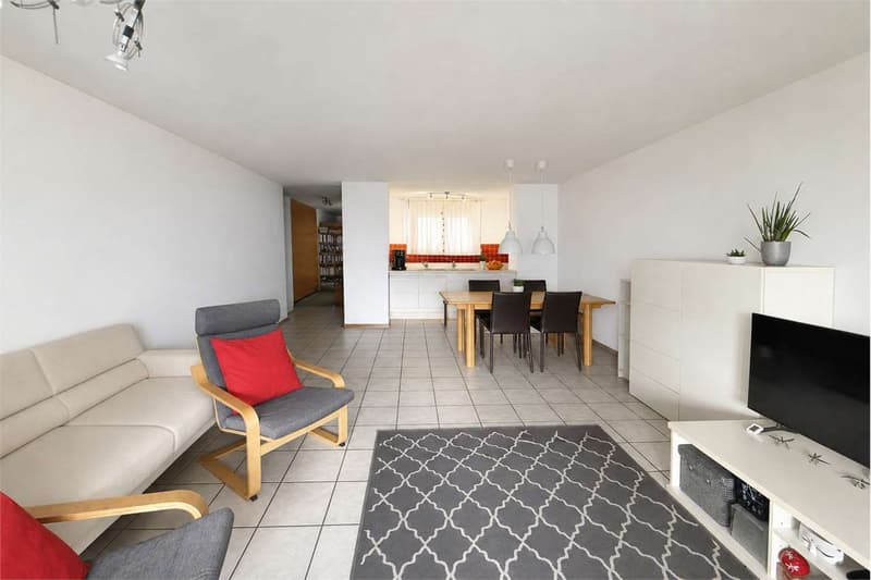 Minusio - 2.5 locali con vista lago (1)