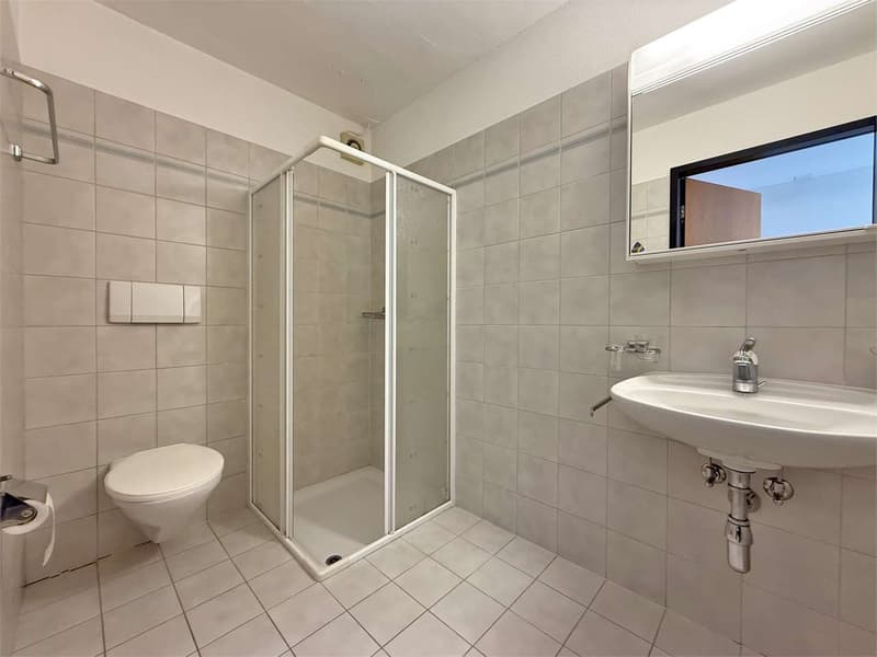 Minusio - Monolocale con vista lago (6)