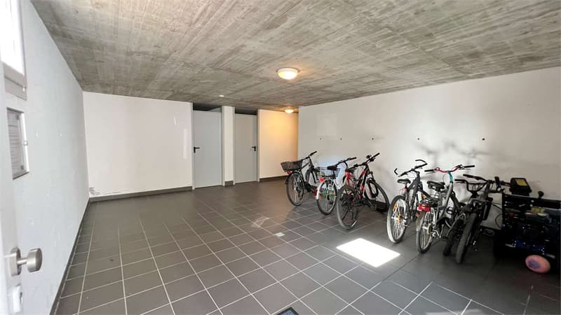 Cadenazzo - Modern 4.5-room apartment with large private garden (9)