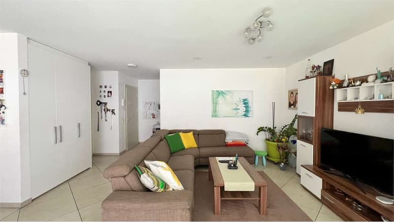Cadenazzo - Modern 4.5-room apartment with large private garden (5)