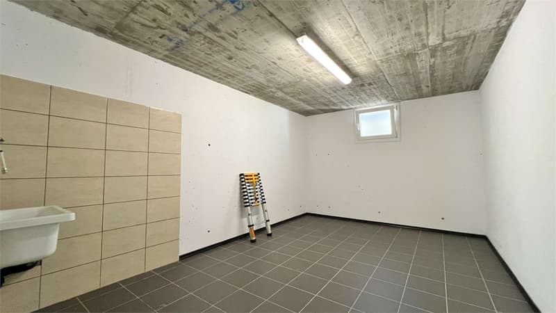 Cadenazzo - Modern 4.5-room apartment with large private garden (10)