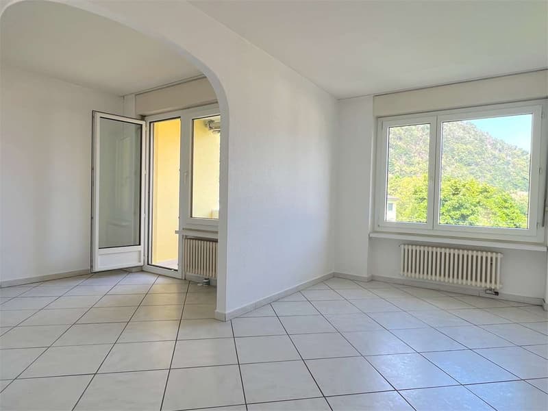 LOSONE - Appartement au dernier étage 4,5 pièces près de la rivière (7)
