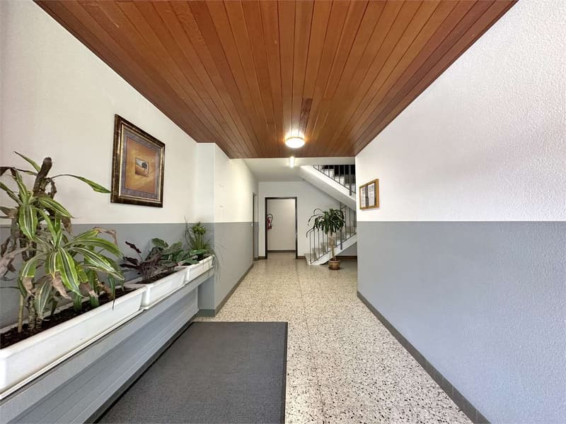 Appartement lumineux 4,5 pièces dans une résidence rénovée (8)