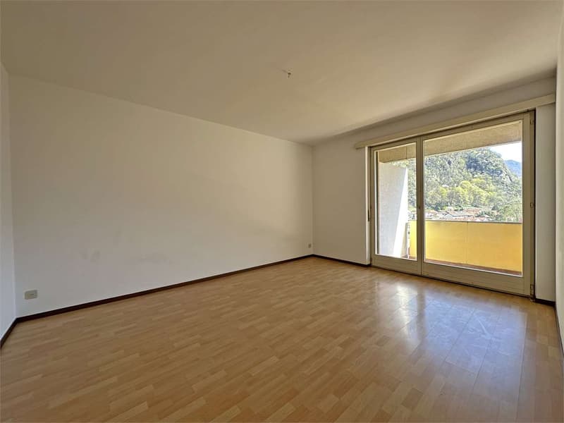 Appartement lumineux 4,5 pièces dans une résidence rénovée (3)