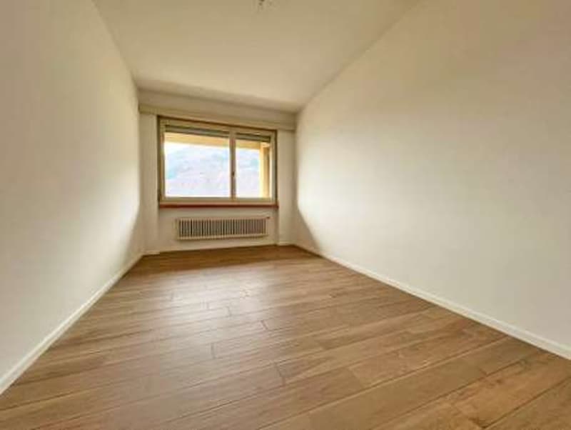 Bright 3.5-room apartment in Castione (4)