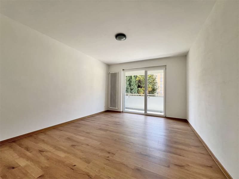 3.5 room apartment renovated in Castione (6)