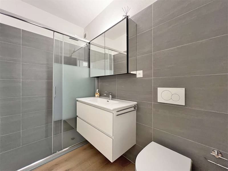 3.5 room apartment renovated in Castione (9)