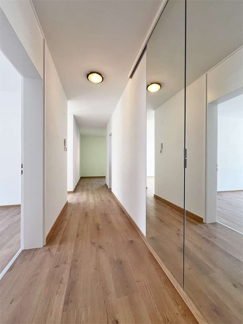 3.5 room apartment renovated in Castione (8)