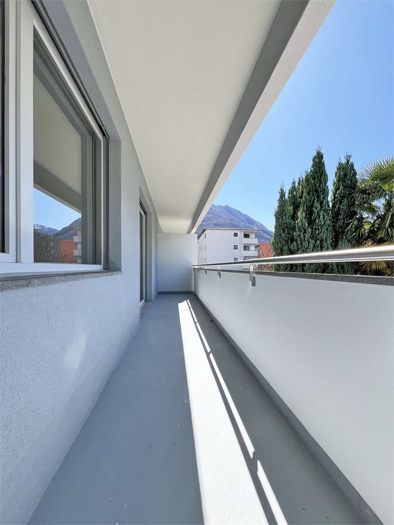 Appartamento 3.5 locali ristrutturato a Castione (8)