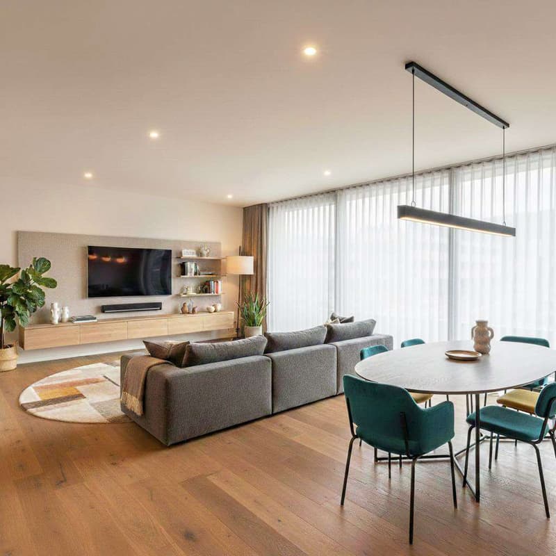 Giubiasco - Nouveau penthouse 5.5 pièces (2)