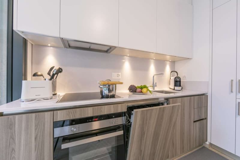 Viganello - Modernes 2.5-Zimmer-Apartment (5)