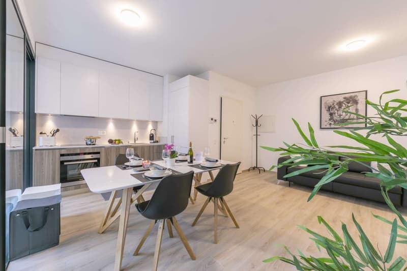 Viganello - Modernes 2.5-Zimmer-Apartment (3)