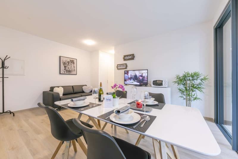 Viganello - Modernes 2.5-Zimmer-Apartment (4)