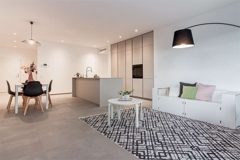 Pregassona - Nuovi appartamenti 4.5 Locali (4)