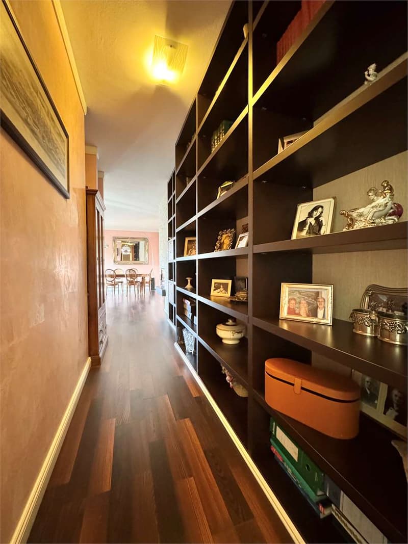 Lugano - 5.5-Zimmer-Wohnung in der Innenstadt (3)